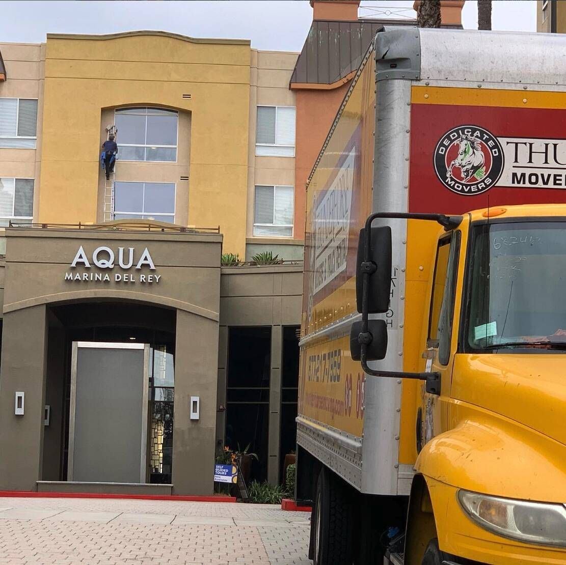 Thunderhorse movers on a move in Studio City.